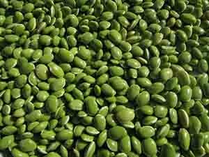 Protein Rich Vegan Foods Green Beans