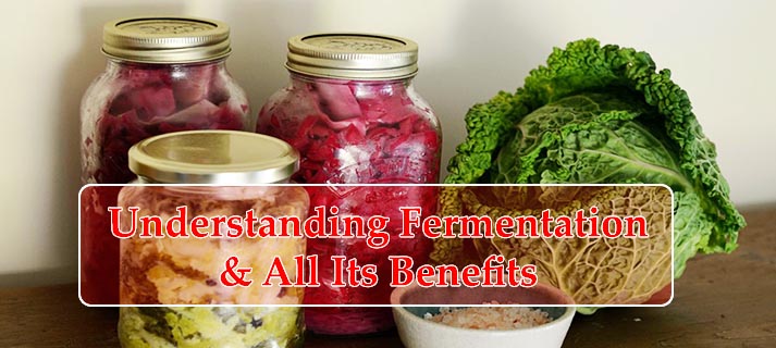 Benefits of Fermentation Cover Image